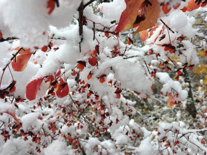 Sunday Praise – 140 Character Christian