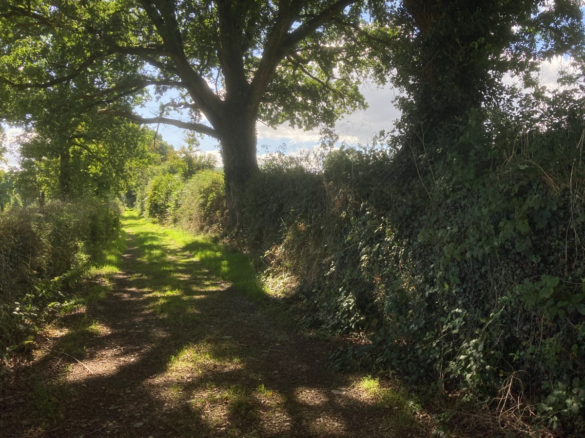 Answering the Small Voice Inside – 140 Character Christian